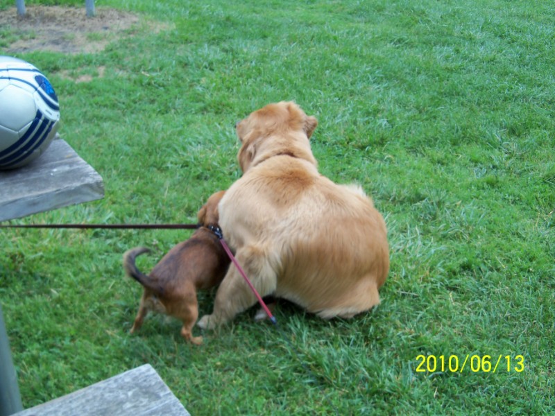 100_1931 [800x600].JPG